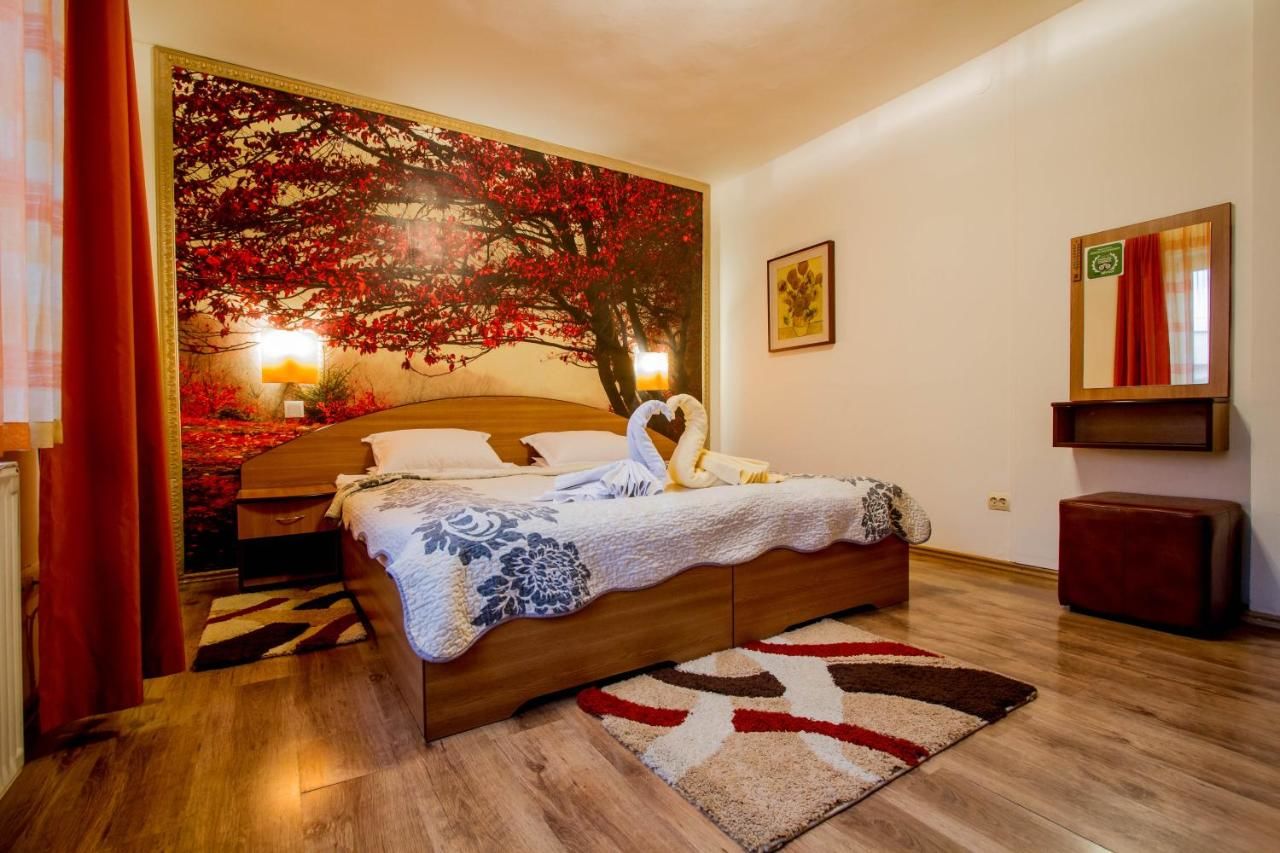 Гостевой дом Pension Casa Timar Брашов-4