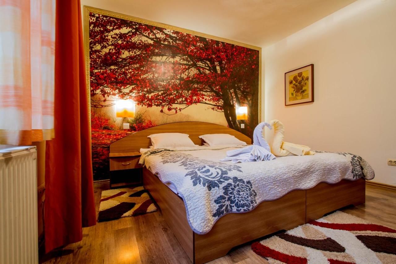 Гостевой дом Pension Casa Timar Брашов-5