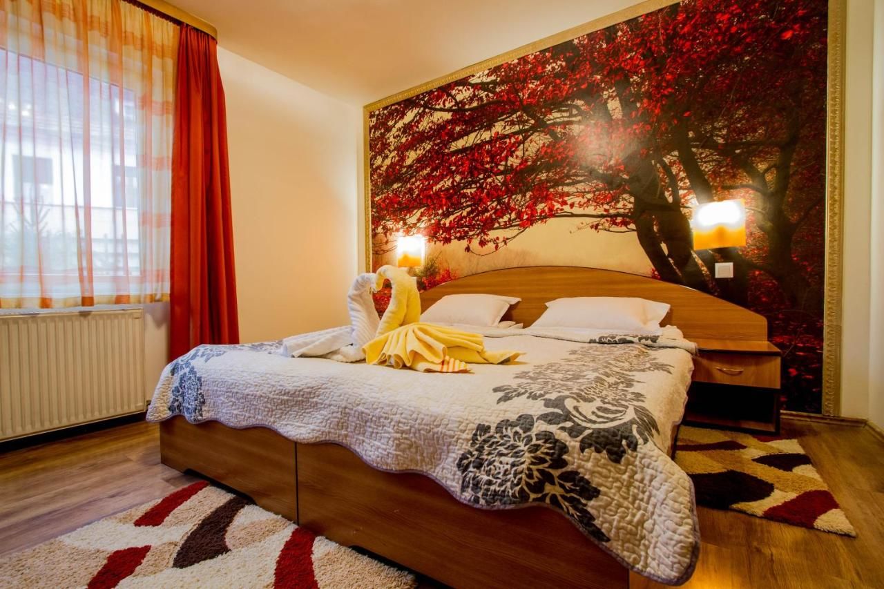 Гостевой дом Pension Casa Timar Брашов-6